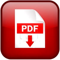 файл PDF