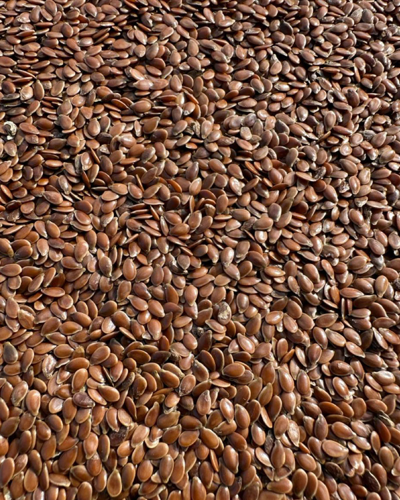 семена льна 2024